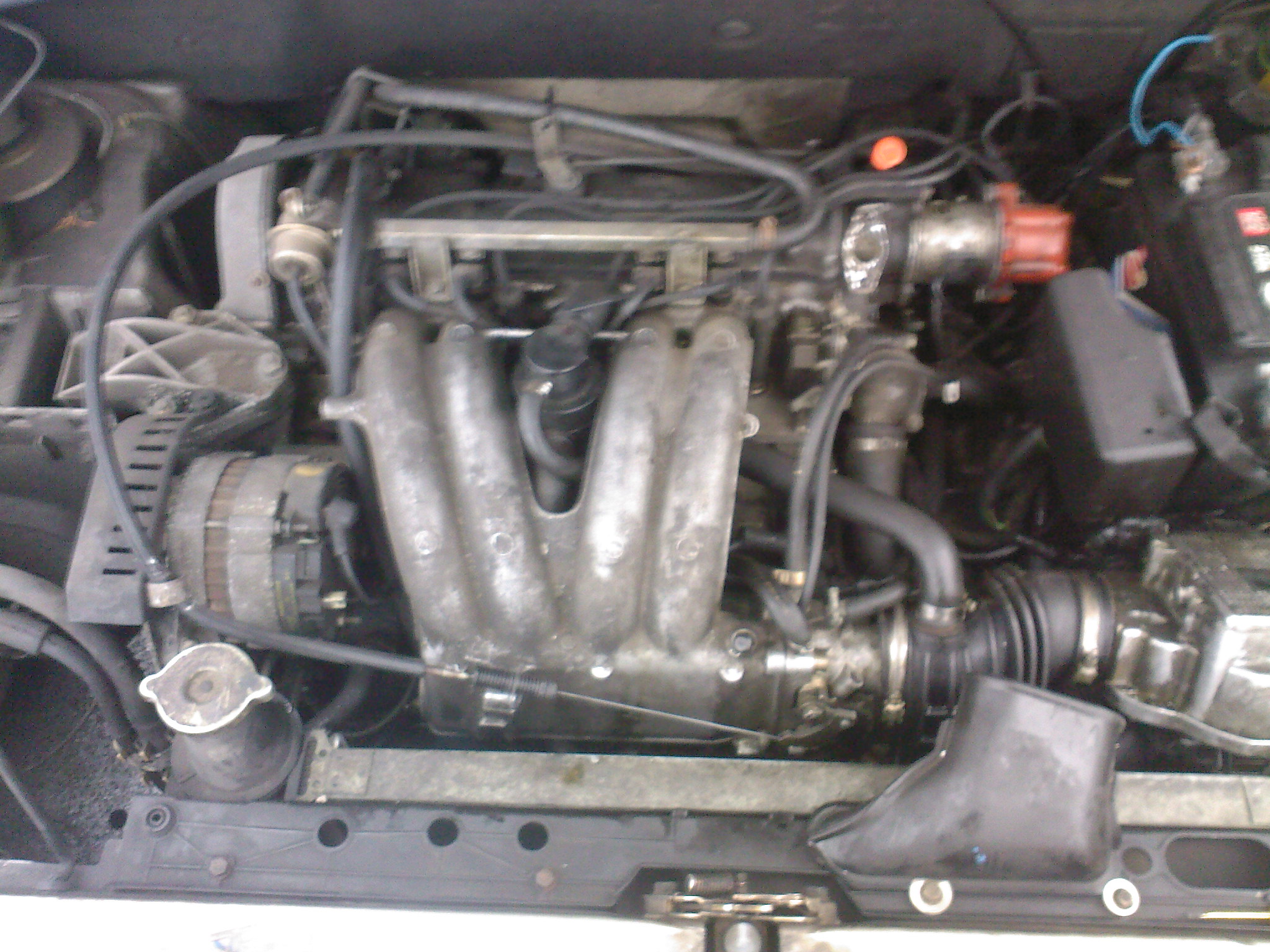 cFQD