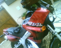 oLGy