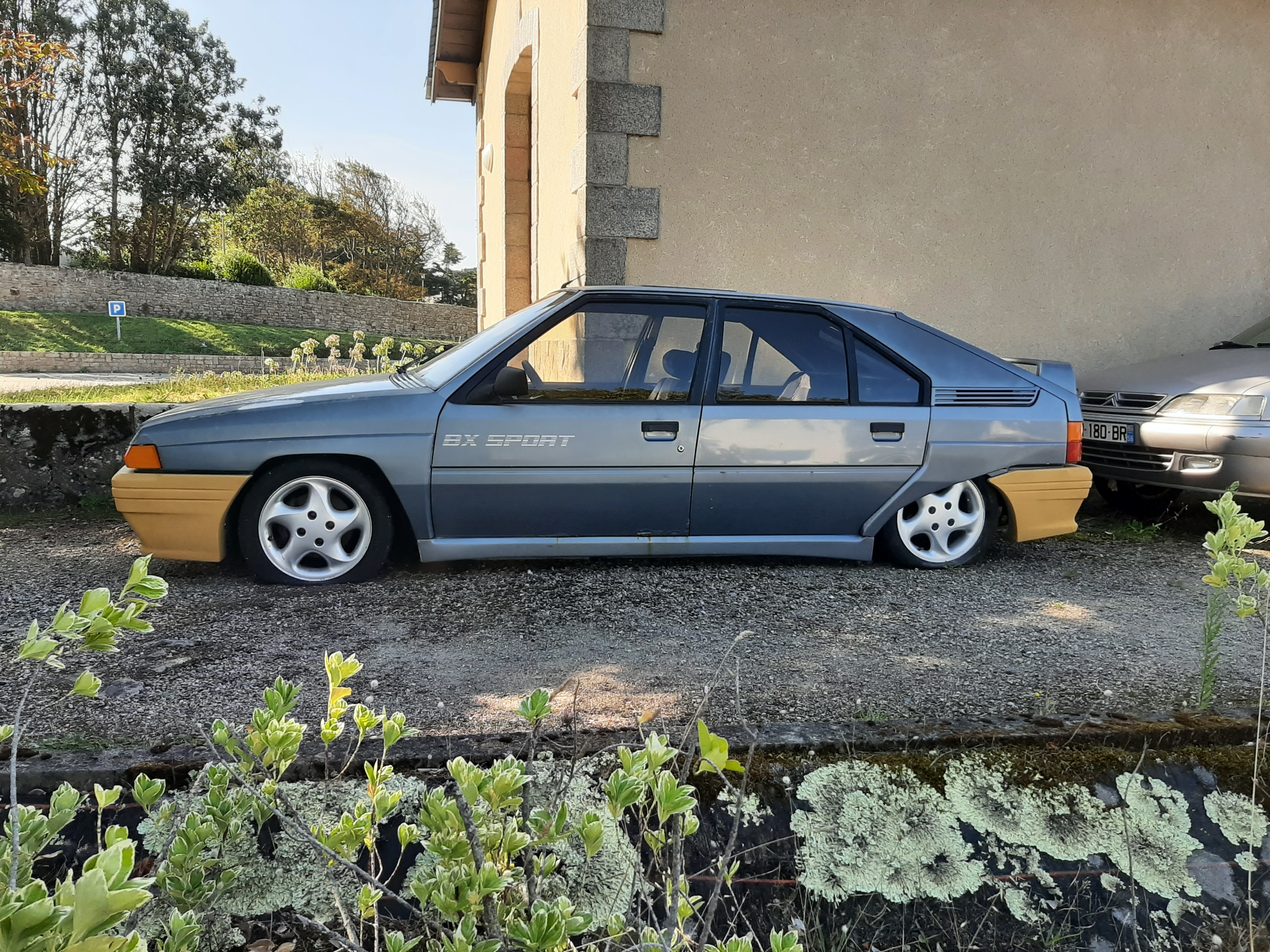 Agl9