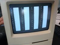gVC5